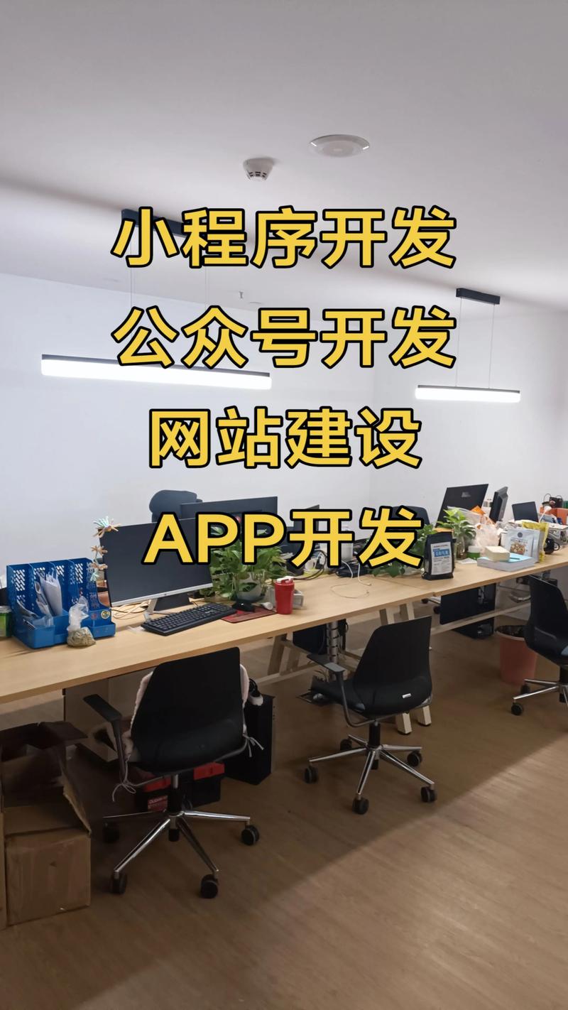上海软件开发：数字时代的新引擎